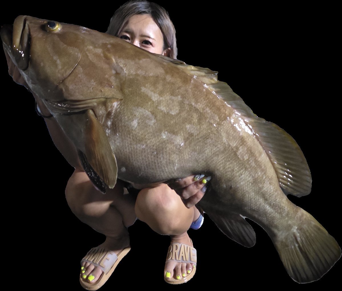 n_elfi_r's tweet image. この前念願のクエ釣れた〜🫶
嬉しすぎた🥺🥺
何回も行った甲斐あった🫶
クエ鍋はアラがクソほどうまいしその後味噌汁したけどもー最高😏