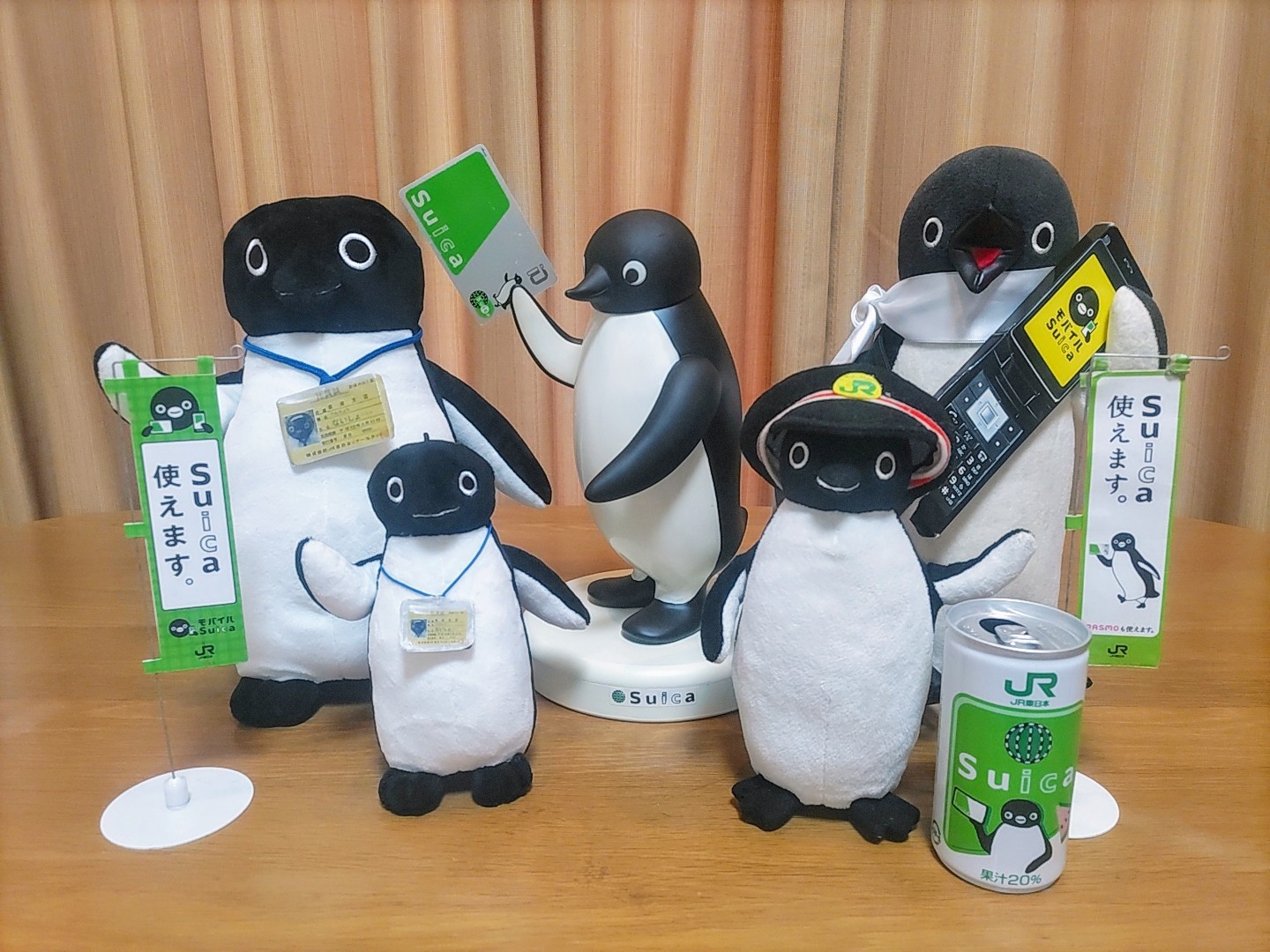 ペンギン 旭山動物園 お散歩行かなかったジェンツーペンギン37番-Gentoo