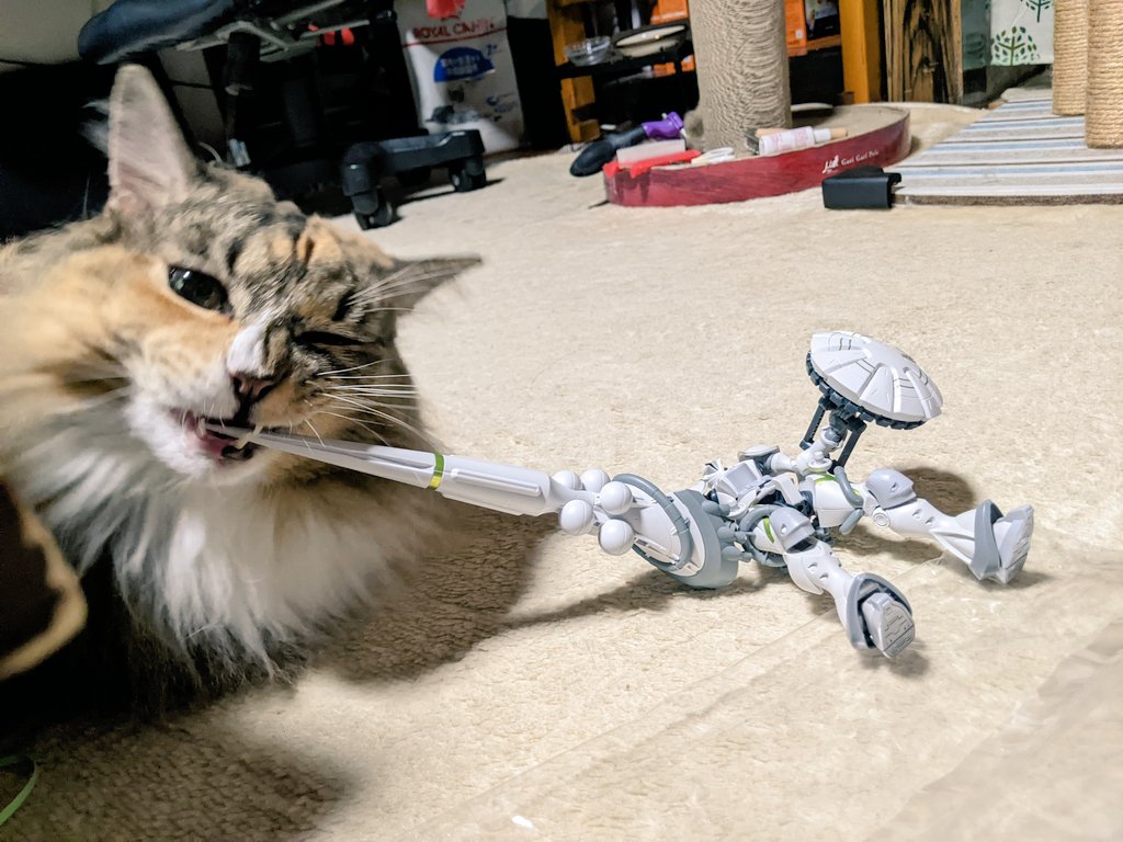 ギャギャギャ
ギャ～～ン〈†〉

ギャ  ギャ  ギャ
ギャ～～～ン 〈†〉

お中元にいただいたプラモデルのパッケージに「ギャン」って書いてあったんだけど、これが令和のギャンなのか！？
カッコよすぎるだろうが！！
まだ素組みで何もしてないくせにこのカッコよさ！！味も見てみよう🐱