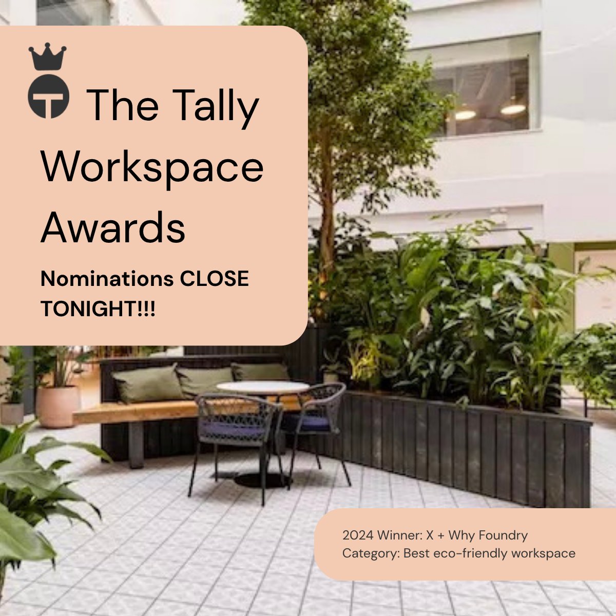Tally Workspace tweet media