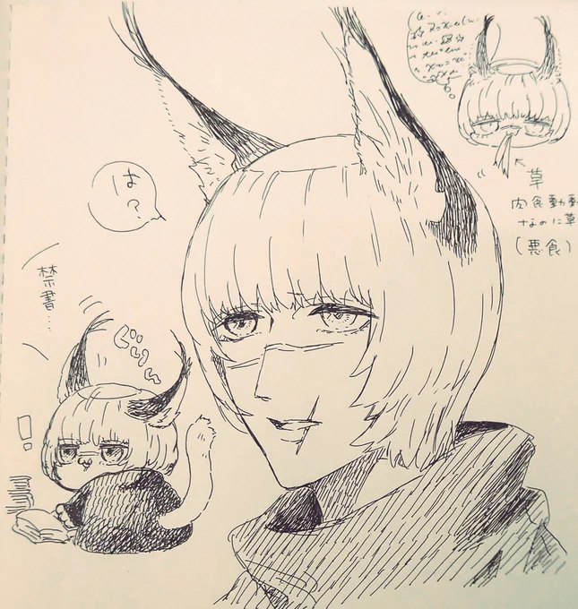 カラ力ルばでいにさん 