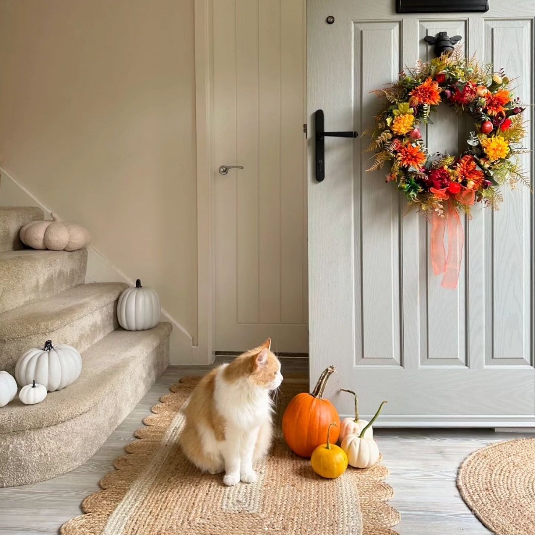 DOORCO (@doorco_official) on Twitter photo Happy #InternationalCatsDay!
Flash back to this stunning install paired with an equally fabulous feline model, from our friends @vistapanelsltd Happy #InternationalCatsDay!
Flash back to this stunning install paired with an equally fabulous feline model, from our friends @vistapanelsltd