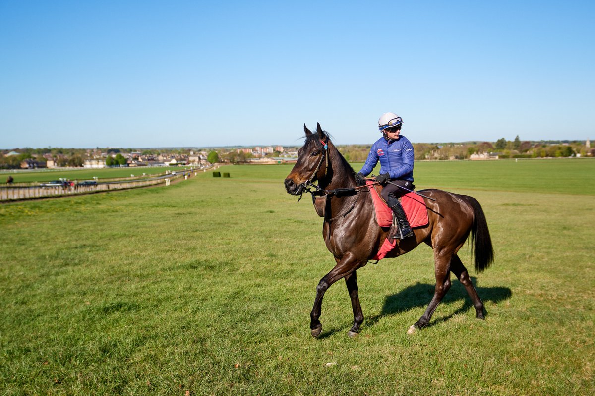 Coral Racing Club (@crcofficial) on Twitter photo It's raceday! 🤩
Pop Star runs in the 3:55 at <a href="/MusselburghRace/">Musselburgh Racecourse</a> for <a href="/ahaynesracing/">Alice Haynes Racing</a> with <a href="/HollieDoyle1/">Hollie Doyle</a> in the saddle.
Good luck to Pop Star, Alice, Hollie and all of our 10 owners for the day 🤞 It's raceday! 🤩
Pop Star runs in the 3:55 at <a href="/MusselburghRace/">Musselburgh Racecourse</a> for <a href="/ahaynesracing/">Alice Haynes Racing</a> with <a href="/HollieDoyle1/">Hollie Doyle</a> in the saddle.
Good luck to Pop Star, Alice, Hollie and all of our 10 owners for the day 🤞