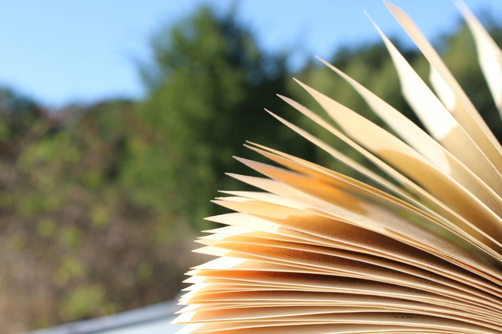 We’re exploring how books and reading can support people experiencing eco-anxiety and we’d love your input.

Help us learn more by sharing your thoughts in our short survey for a chance to win a £30 book token.

Open until Friday 8 August. Take part here: surveymonkey.com/r/eco-anxiety