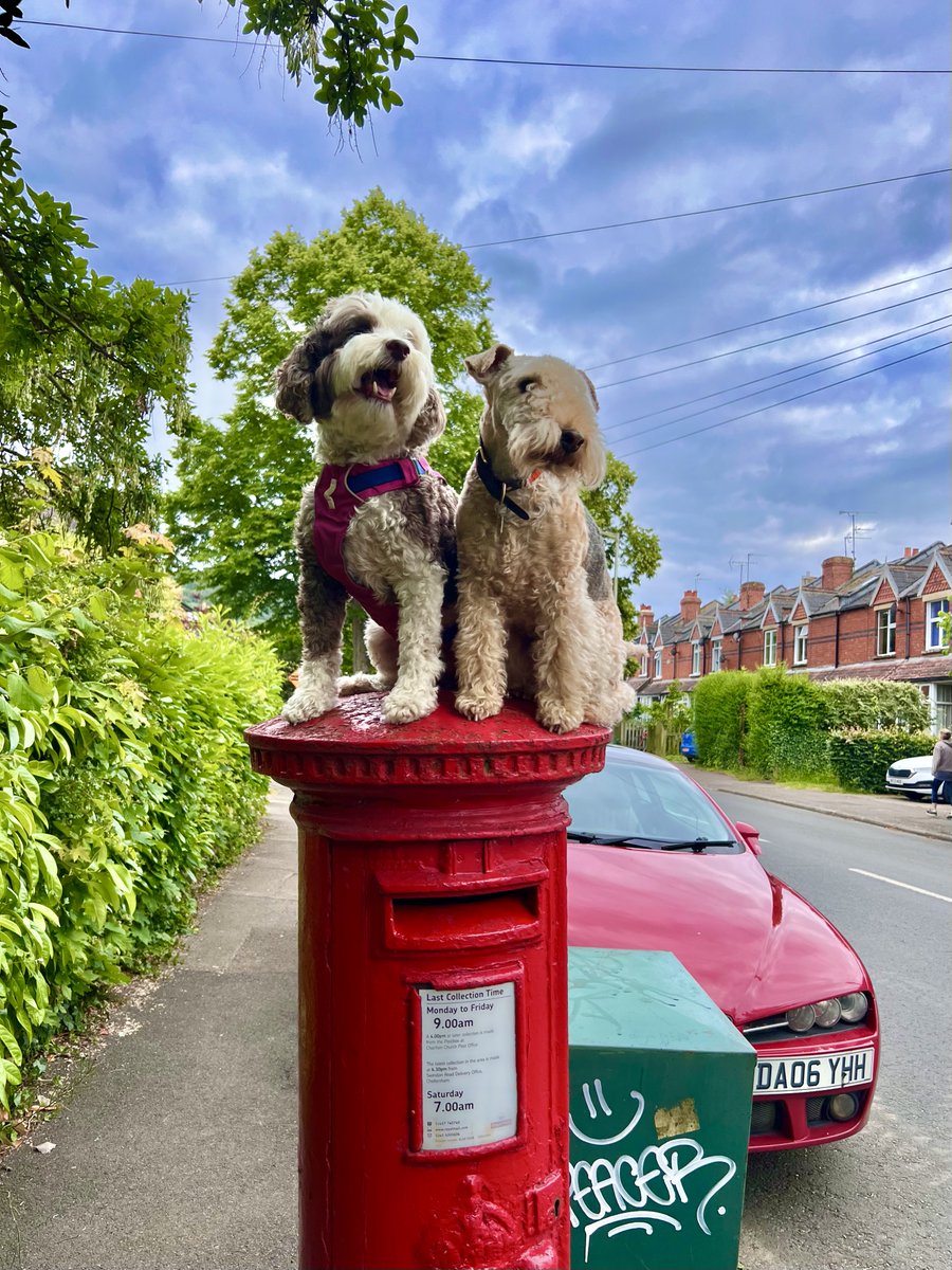 Bertie Lakeland tweet media