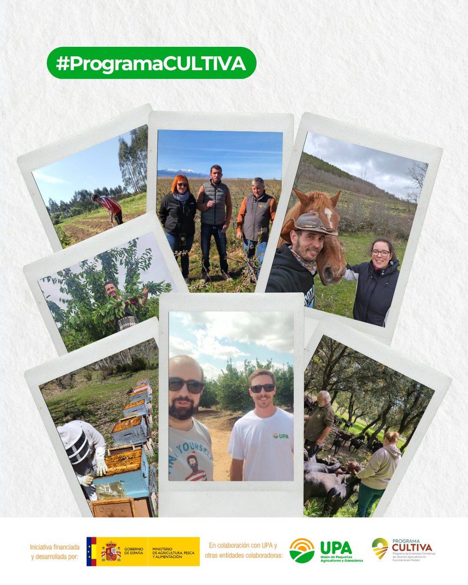 RAICES_info's tweet image. Este año, el #ProgramaCULTIVA ha vuelto a demostrar que el campo sí tiene futuro 🚜🛰📲

🧑‍🌾👩‍🌾 Jóvenes agricultores y ganaderos han vivido experiencias inolvidables 💚

🔜 ¡Pero lo mejor está por llegar! Pronto una nueva edición, con nuevos protagonistas 😎
es.raices.info/programa-culti…