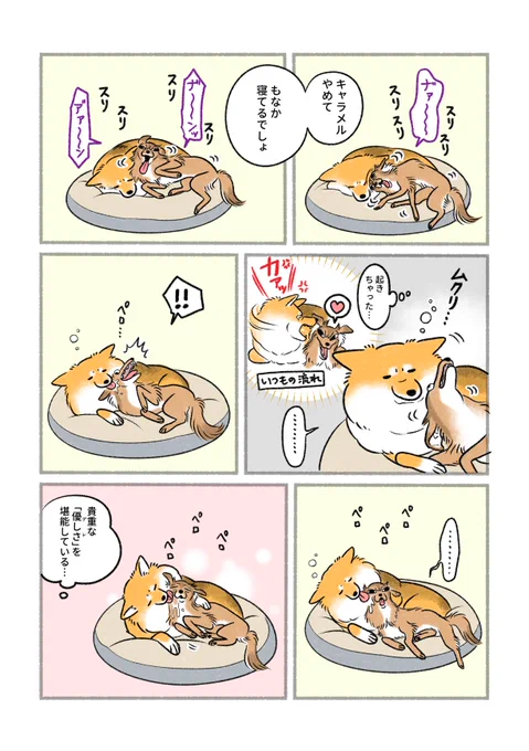 たまに優しい 