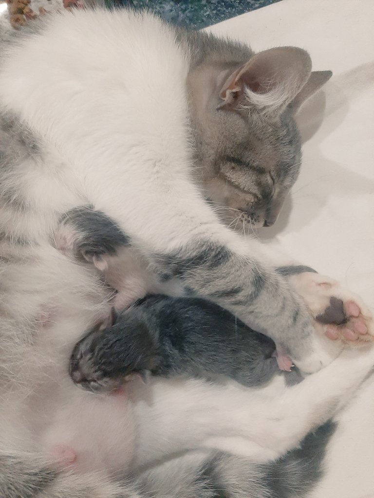 Gente... ahora soy abuelo 🥹