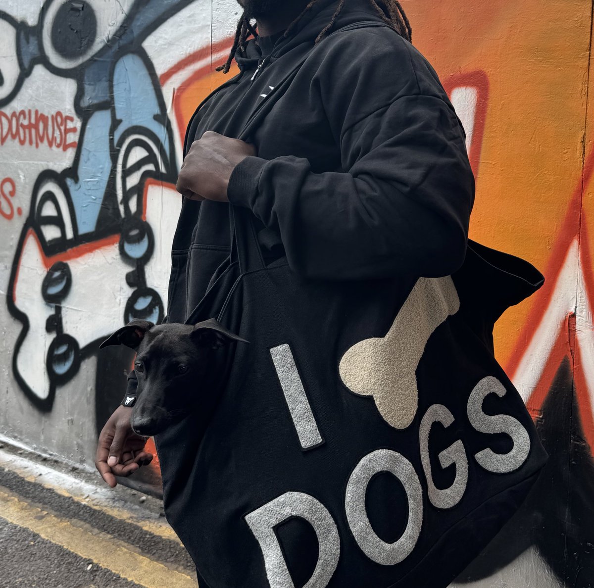 realDogsHouse's tweet image. Gm DOGS
Typing this from inside of the bag today🦴