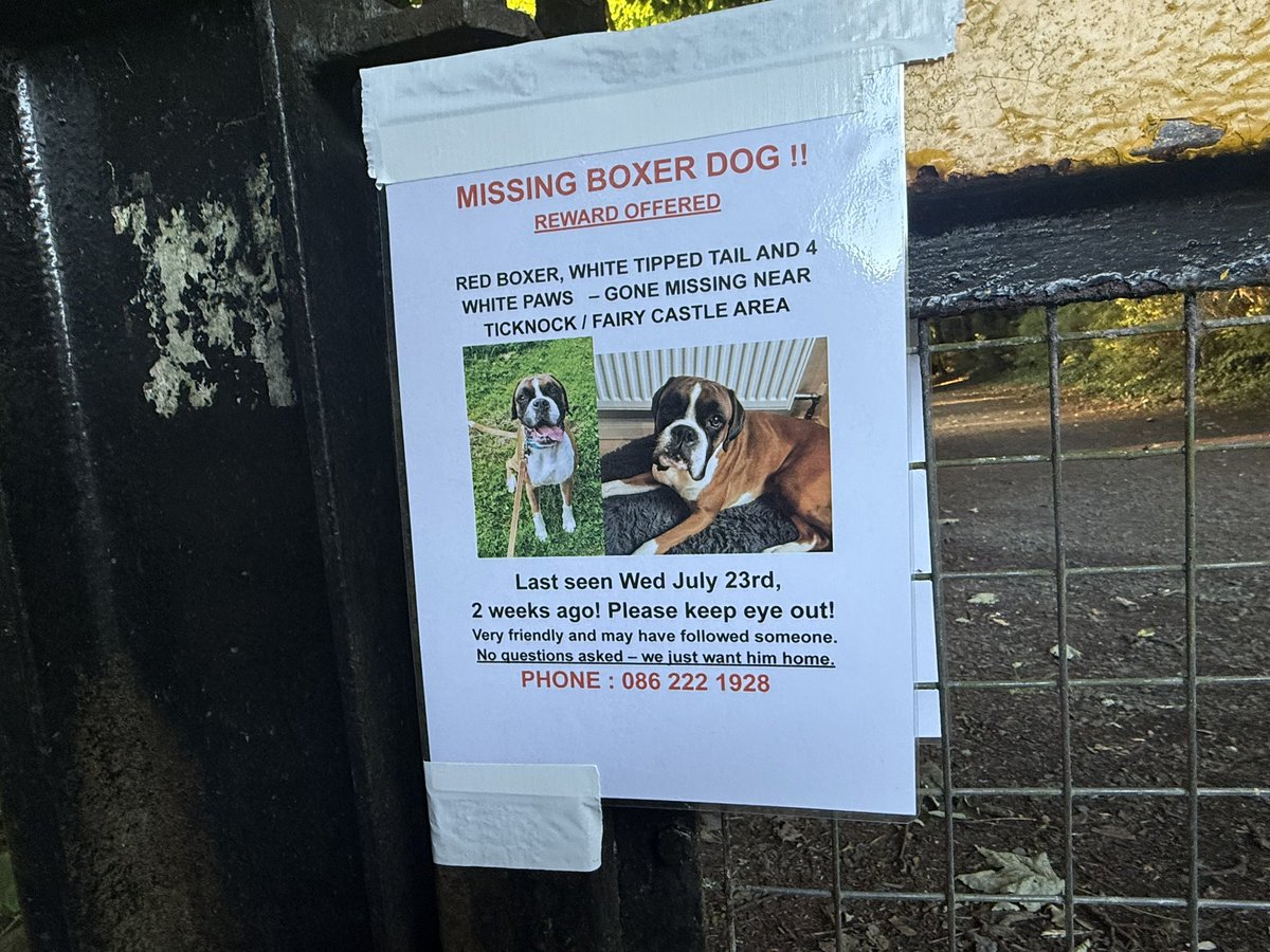 Love South Dublin (@lovesouthdublin) on Twitter photo MISSING 🐕🦺
#ticknock #fairycastle <a href="/dlrcc/">Dún Laoghaire-Rathdown County Council</a>
#sandyford #dublinmountains #dunlaoghairerathdowncouncil #dlr MISSING 🐕🦺
#ticknock #fairycastle <a href="/dlrcc/">Dún Laoghaire-Rathdown County Council</a>
#sandyford #dublinmountains #dunlaoghairerathdowncouncil #dlr
