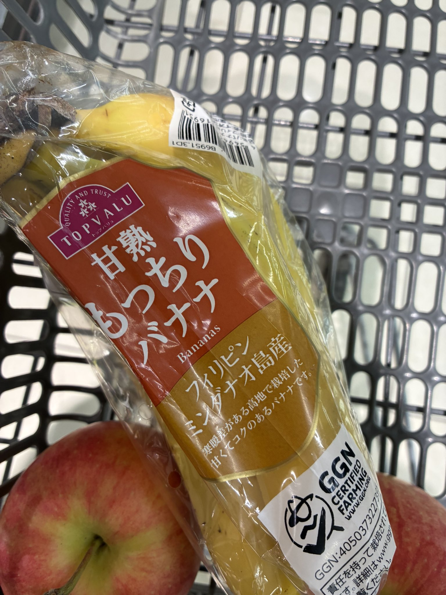 たろきち DSCN6440_large.jpg?v=1718915637