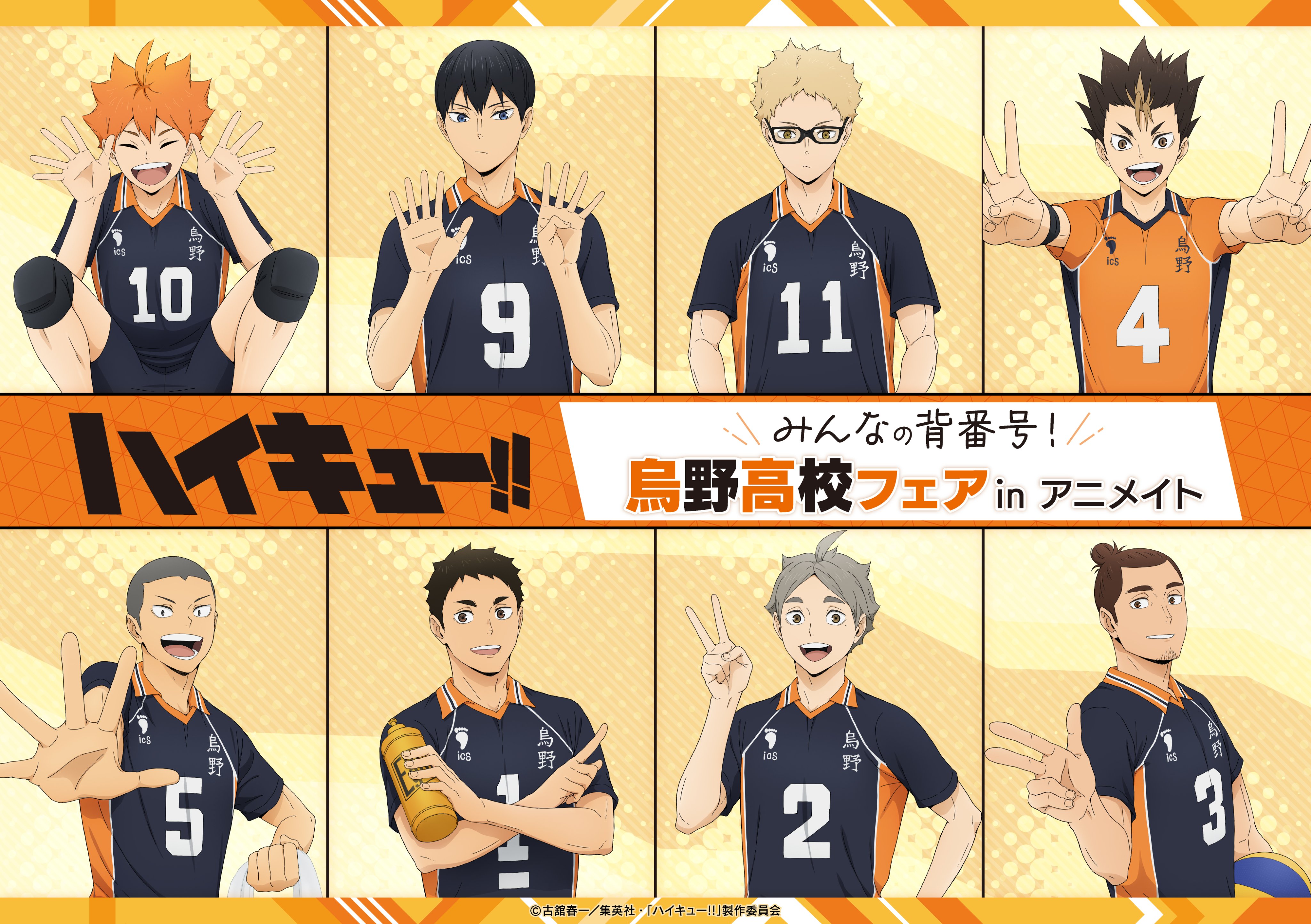 ハイキュー 4点セット v_287426_00.jpg?wid=600&hei=315