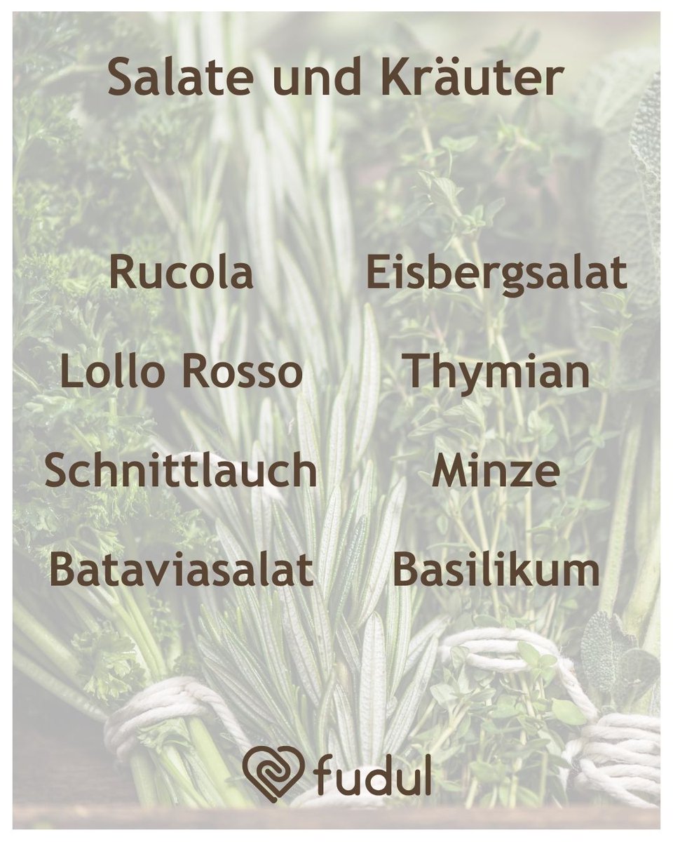 orgfudul's tweet photo. #Saisonal. #Regional. #Gesund.
Du möchtest Dich bewusst &amp; gesund ernähren? Dann ist unser Saisonkalender genau das Richtige für Dich!
Wir haben #Obst- &amp; #Gemüse, #Salate &amp; #Kräuter zusammengestellt, die im #August regional &amp; saisonal erhältlich sind. https://t.co/wM27eASVaG
