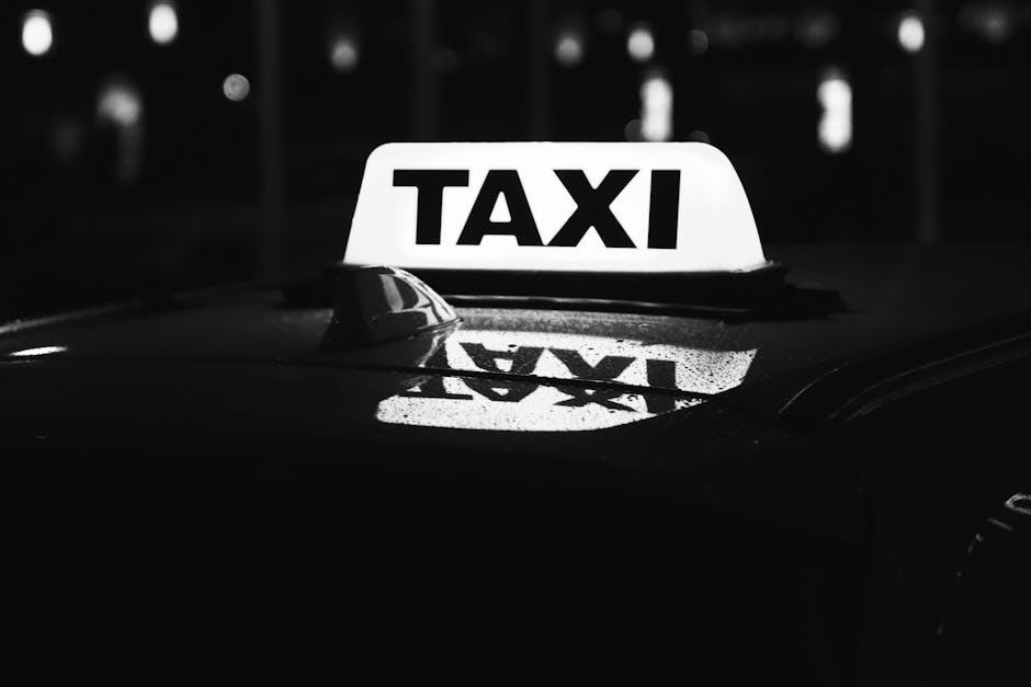 Southend City BID (@southendcitybid) on Twitter photo You talking to me?!
Yes!
Take part in the taxi consultation now to share your views with <a href="/SouthendCityC/">Southend-on-Sea City Council</a>
Share your views if you want to have a say on the local taxi policy 🚕🚕🚕
Open until 10th September, find out more >> bit.ly/4mb1y8q You talking to me?!
Yes!
Take part in the taxi consultation now to share your views with <a href="/SouthendCityC/">Southend-on-Sea City Council</a>
Share your views if you want to have a say on the local taxi policy 🚕🚕🚕
Open until 10th September, find out more >> bit.ly/4mb1y8q
