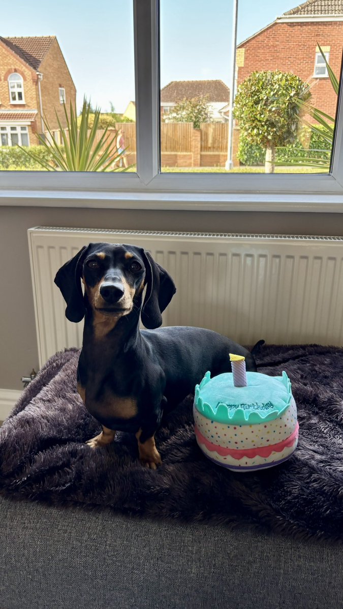 Everyone say happy birthday to my daughter