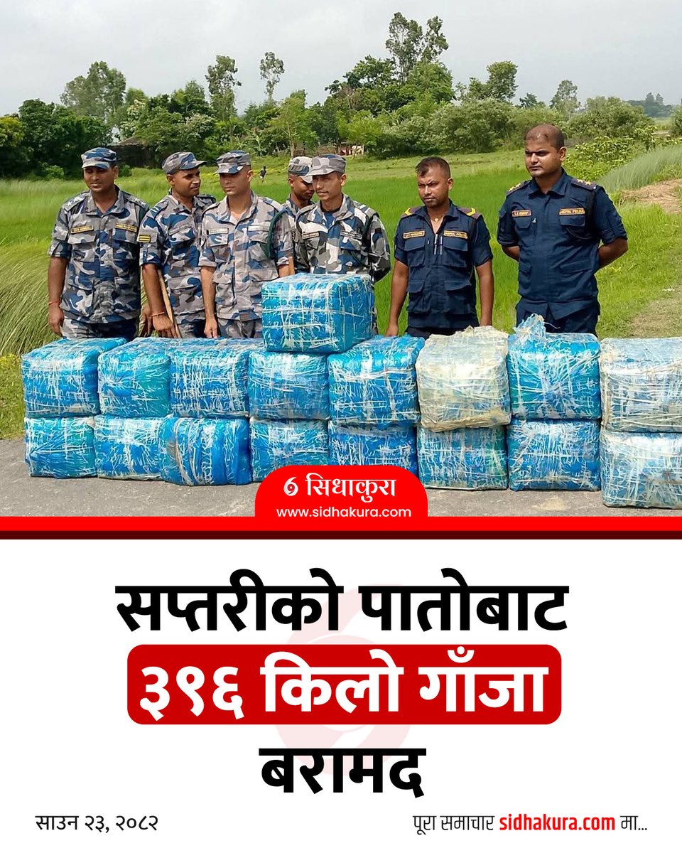 सप्तरीको पातोबाट ३९६ किलो गाँजा बरामद | sidhakura.com/detail/16048