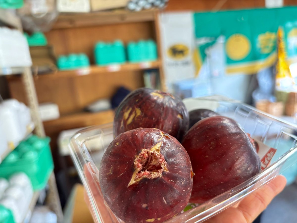 今日のおやつは、今年初いちじく。