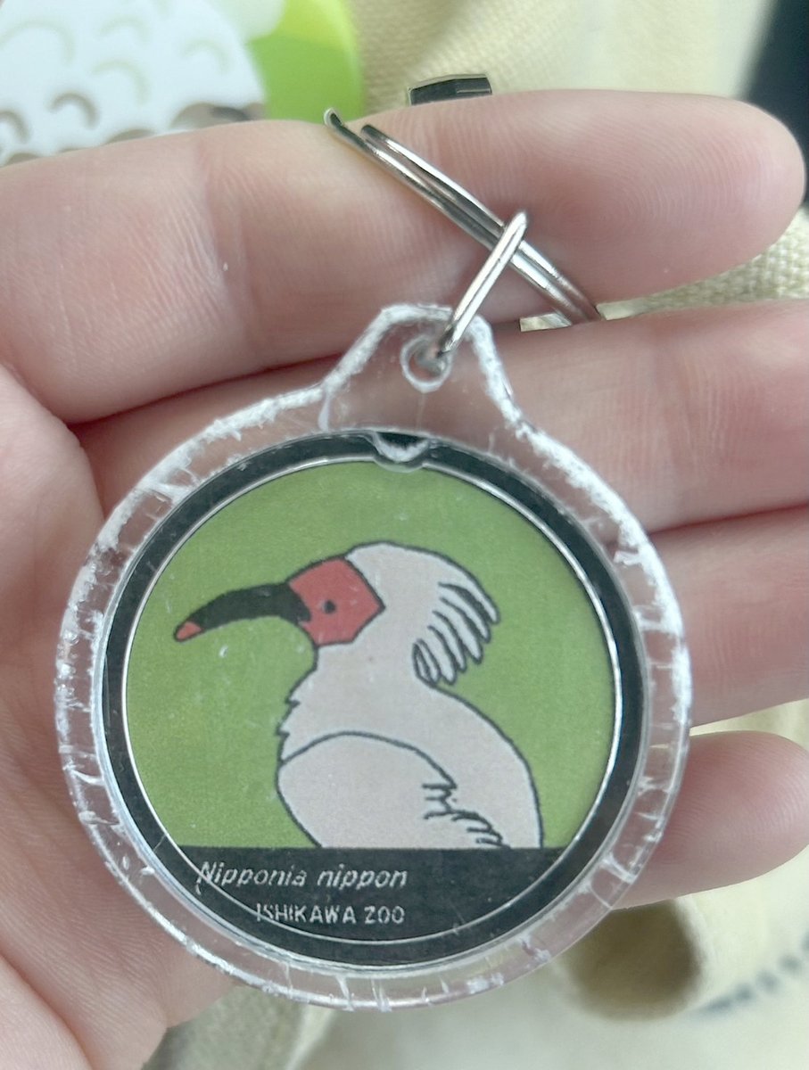 いしかわ動物園【公式】 on X