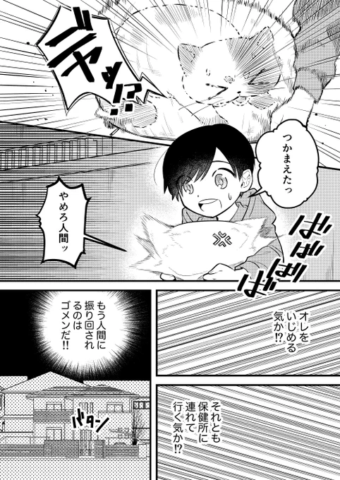 (3/6) 