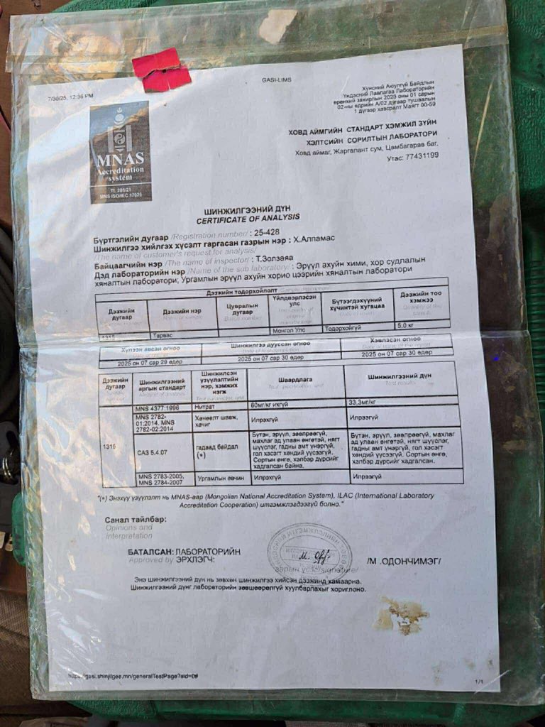 Зиа яг янзын болсон Ховдын шивгаа зарж байгаа урд нь хүргүүлж авч бсн хүмүүс мэднэ бизээ. Хороололд Москва их дэлгүүр, 22н товчоо бас хүргэлтээр зарж бгаа кг нь 3000
Шуудайгаар нь хүргэнэ шуудайндаа 33-38кг бгаа хүргүүлэх дугаар 88224298, 99435360, 88462240 РТ хийгээд өгөөрэй