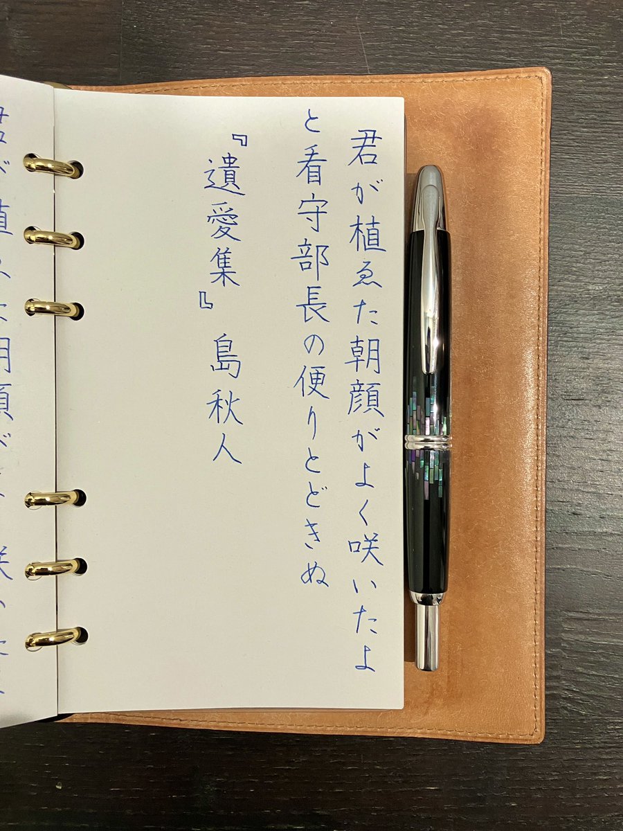 『遺愛集』島秋人
#朝活書写 No.2128
#朝活書写_2128