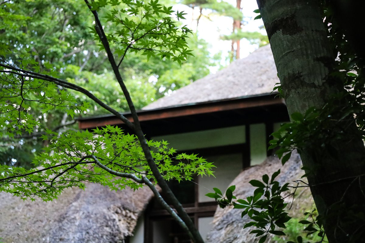moritaroukikaku's tweet photo. 本日(8/8(金))、天山文庫の手水鉢に花を飾らせていただきました💐
今月は猛暑ということもありますので、3～5日ほど色鮮やかな花をご覧いただけます☀
お盆の帰省されたタイミングで皆さまもぜひ天山文庫へ🐸

#東北 #福島 #川内村 #かわうち #相双 #R399 #あぶくまロマンチック街道 #天山文庫 #花手水 https://t.co/5nFiLmWrvD