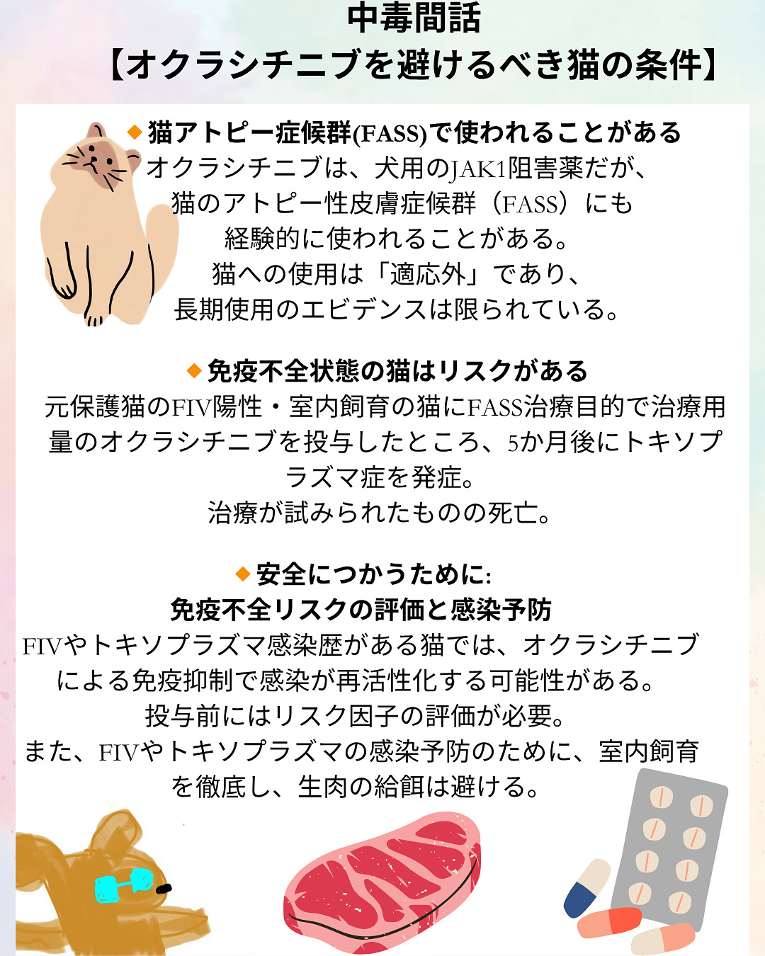 猫中毒 Amazon | 【野良猫撃退・超音波/警報音/LED強力フラッシュライト