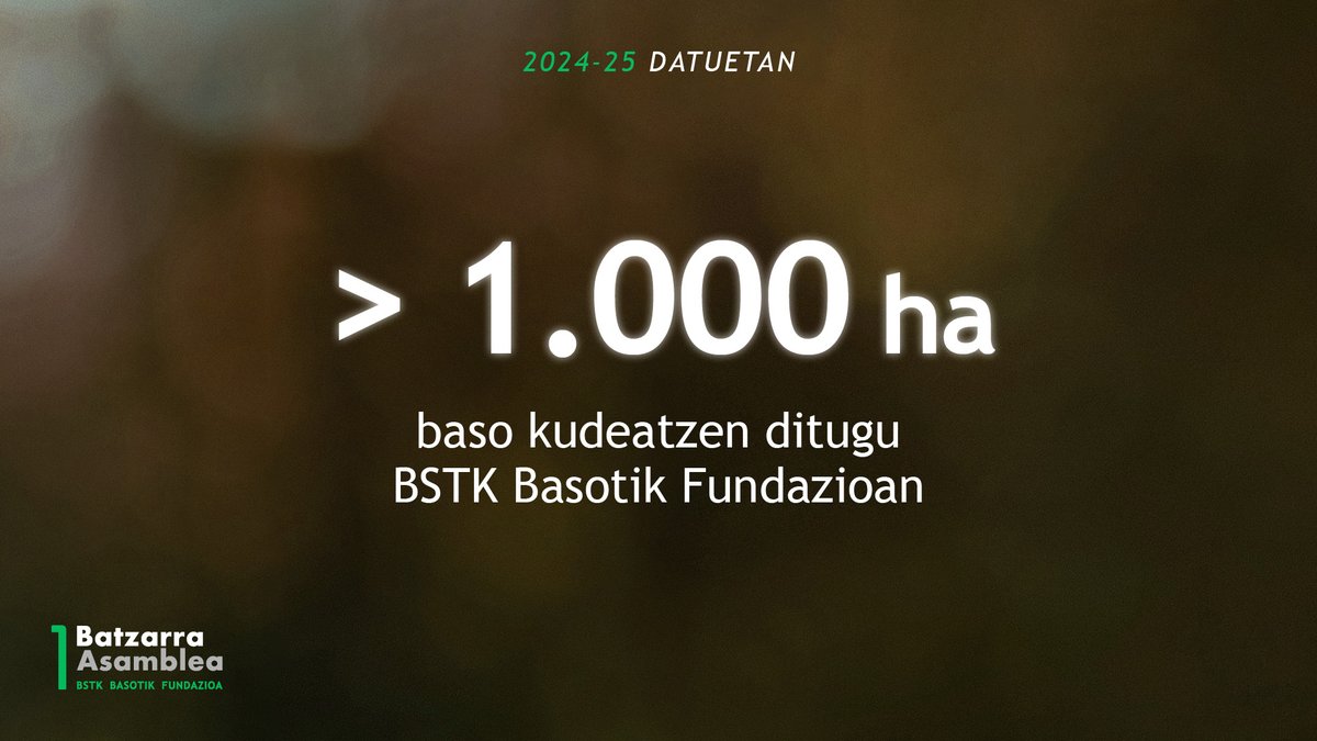 Basotik Fundazioa tweet media