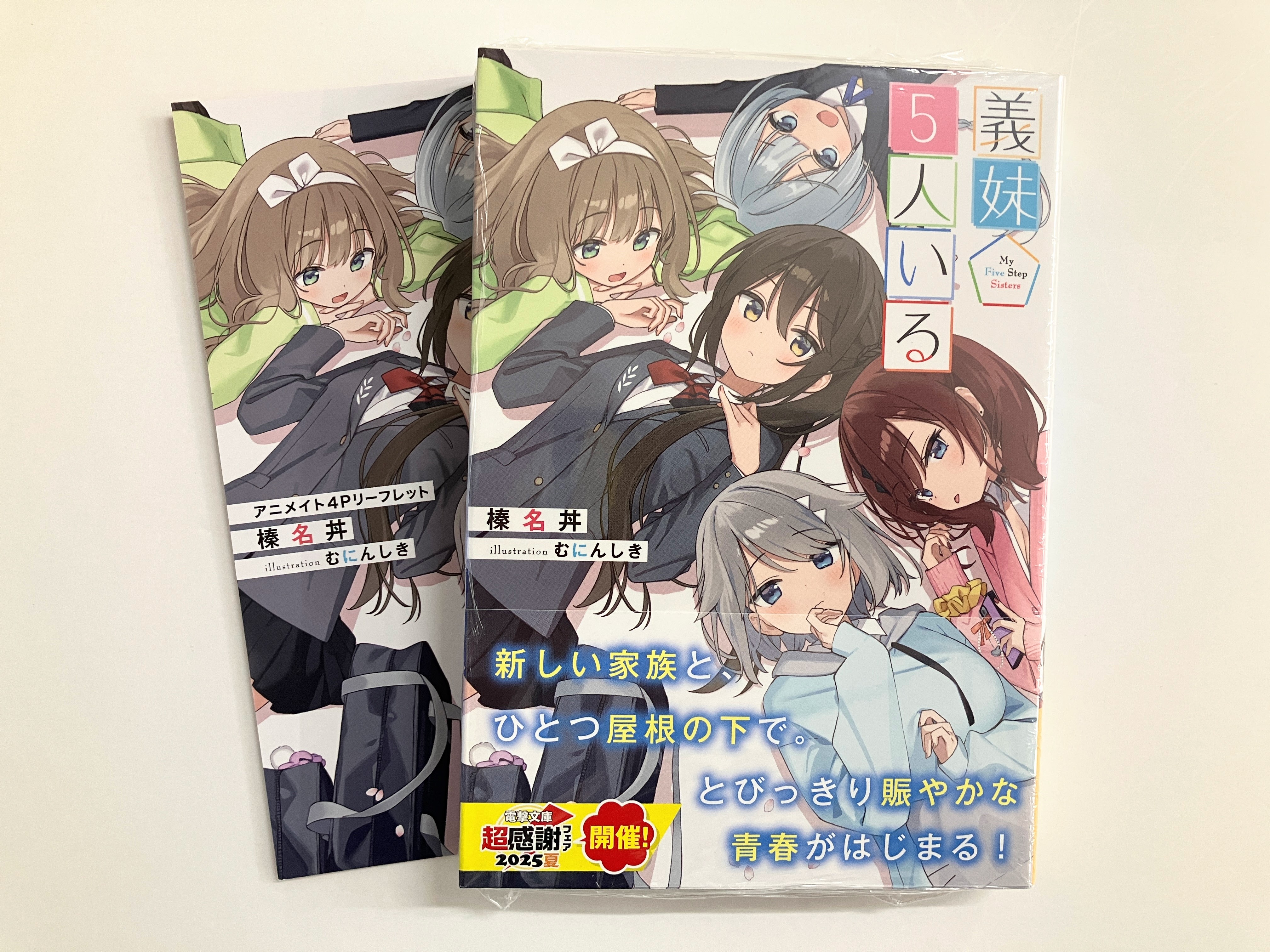 アニメイト ビジュアルボード ・ リーフレット 極楽街 アニメイト特典 B6サイズ ビジュアルボード - メルカリ