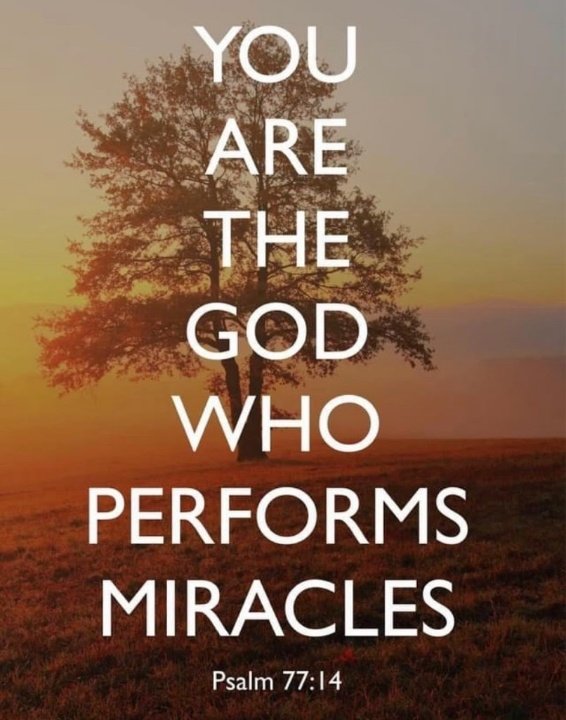Our scripture for today...