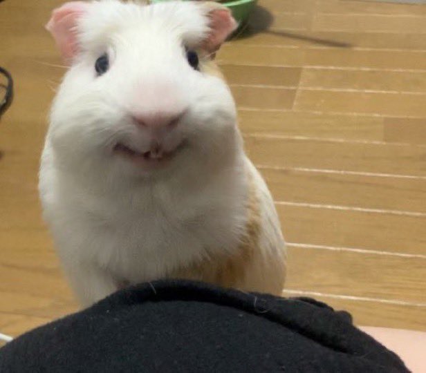 꼬집~!

                                             ㅋㅋㅋ 뭘보노?