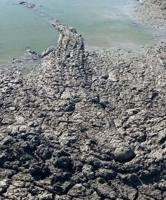 Rainmaker1973's tweet image. It’s important to watch your step in Australia

[📸 Gary Vandertak]