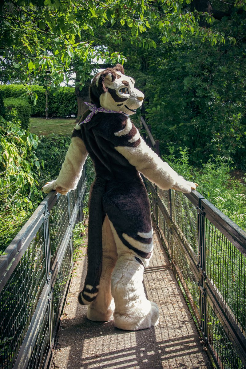 Una | Comms closed (@unapanthera) on Twitter photo 🍃☀️🍃
📸 <a href="/DracorumOrder/">Dracorum Order 🧧</a> 🍃☀️🍃
📸 <a href="/DracorumOrder/">Dracorum Order 🧧</a>