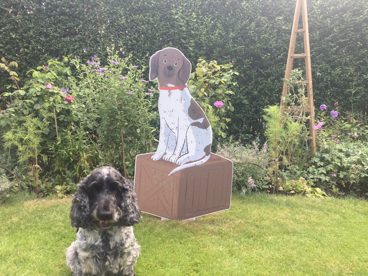 Tom Palmer (@tompalmerauthor) on Twitter photo Finn doesn’t look best pleased that I’ll be taking Judy on my <a href="/scholasticuk/">Scholastic UK</a> WAR DOG book tour next week. Not him. Or maybe I am projecting.
Full details of venues to come v soon.
tompalmer.co.uk/war-dog Finn doesn’t look best pleased that I’ll be taking Judy on my <a href="/scholasticuk/">Scholastic UK</a> WAR DOG book tour next week. Not him. Or maybe I am projecting.
Full details of venues to come v soon.
tompalmer.co.uk/war-dog