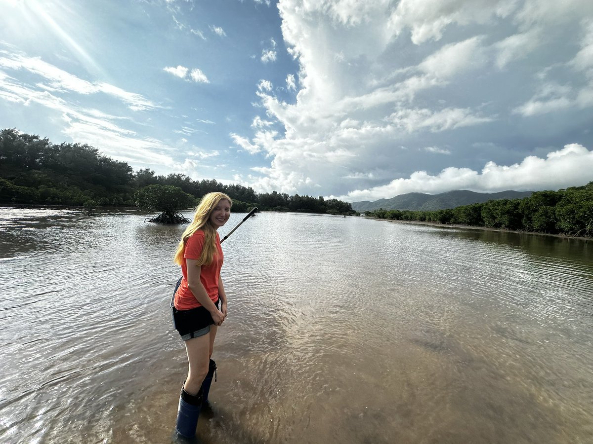 300万円は自民党石垣市部が受けた額としては突出している額です。
しかし、ラムサール条約湿地名蔵アンパルの上流、国の特別天然記念物カンムリワシが13羽くらす里の自然の価値には到底及びません。

300万円ぽっちのためにこの自然が破壊される危機にあるなんて、なんと情けないことか。