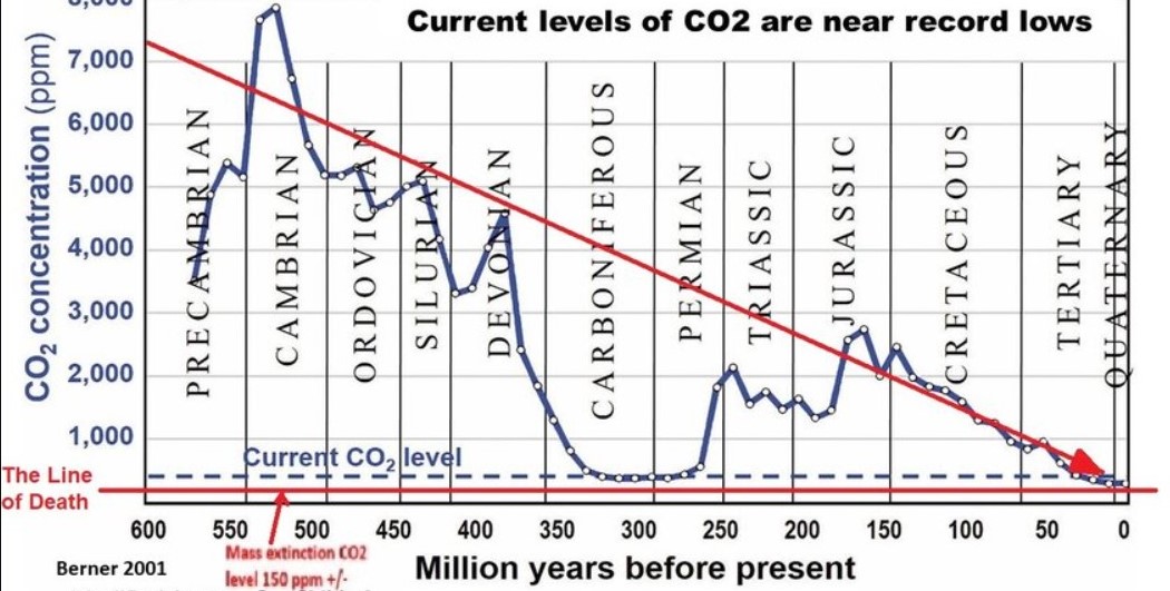 1000FrollyPhD (@1000frolly) on Twitter photo <a href="/MatthewWielicki/">Dr. Matthew M. Wielicki</a> UK Govt must be absolutely INSANE!
We need more CO2 NOT less!
CO2 levels are catastrophically LOW right NOW!
What crackpot 'science' are they listening to?? <a href="/MatthewWielicki/">Dr. Matthew M. Wielicki</a> UK Govt must be absolutely INSANE!
We need more CO2 NOT less!
CO2 levels are catastrophically LOW right NOW!
What crackpot 'science' are they listening to??