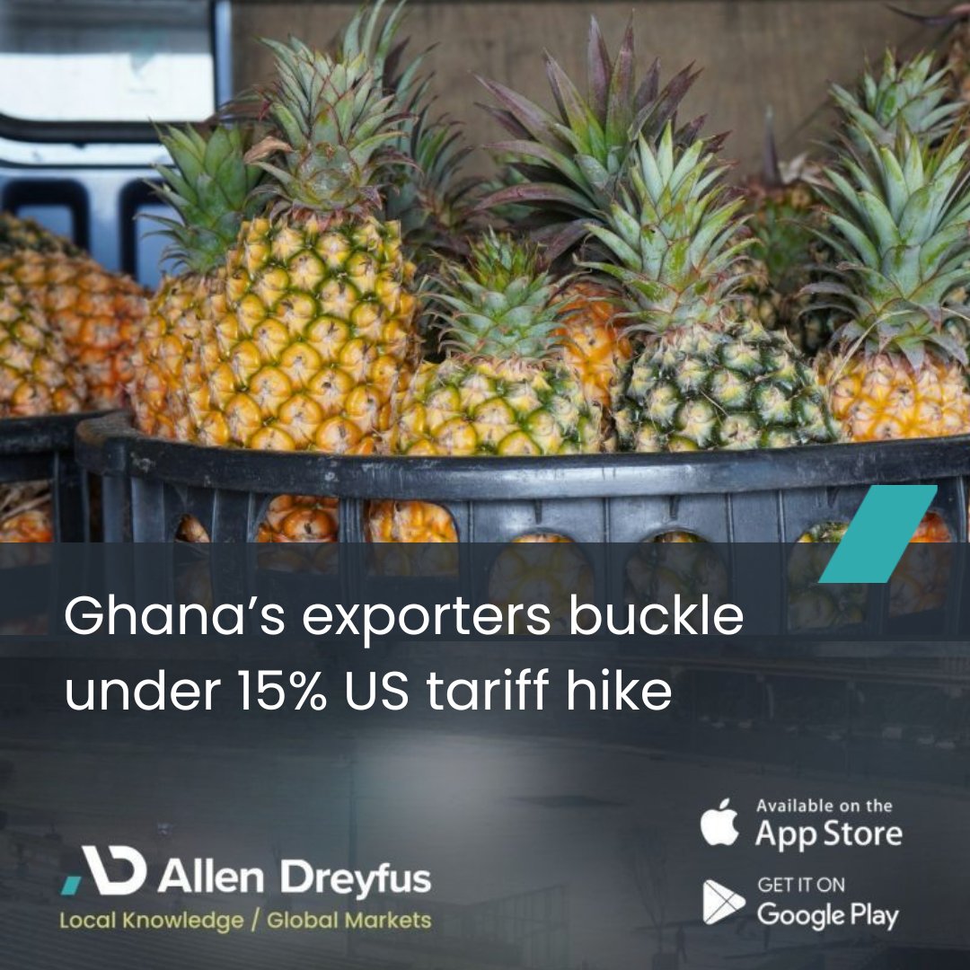 allendreyfus_'s tweet image. Ghanaian exporters are warning of severe consequences for their livelihoods as a new 15 percent tariff on goods entering the United States takes off, adding to mounting economic pressures.-Caleb Ahinakwah
Link in bio

#GhanaEconomy #ExportChallenges #USImportTariff #TradePolicy