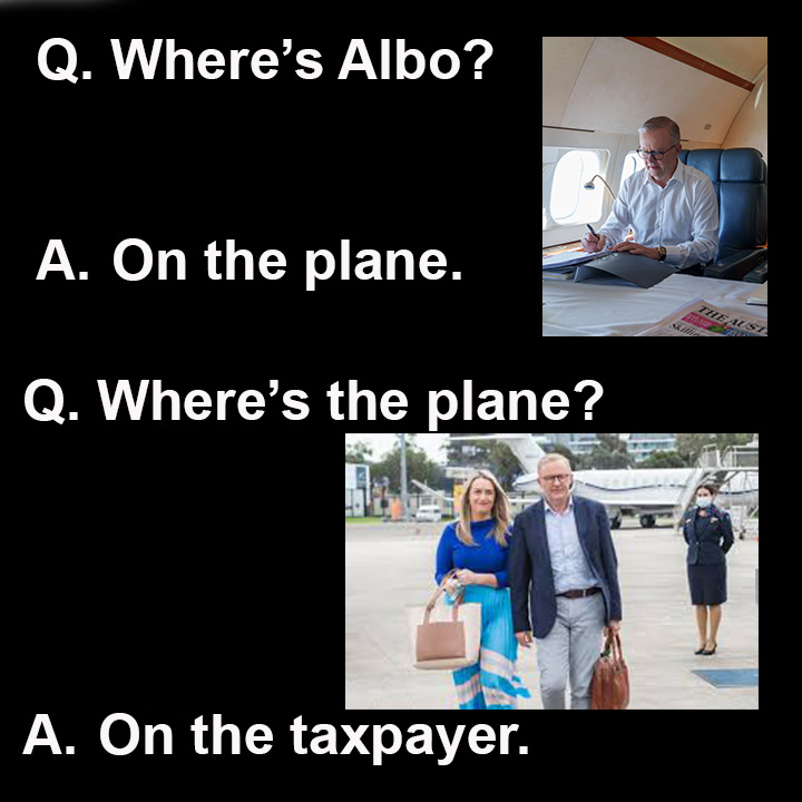 Where's Albo?🙄😆