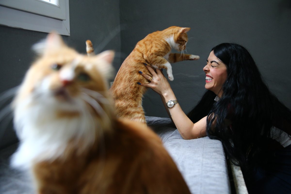 HatayAsiHaber's tweet image. 🐾 Adana’da Nur Kıykaç, evinin damında 38 kediye yuva kurdu.
💬 “Onlar benim ailem, asla yalnız bırakmam.”
🔗 Detay: asihaber.com.tr
#asi #asihaber #AdanaHaber #Hayvansever #SokakHayvanları