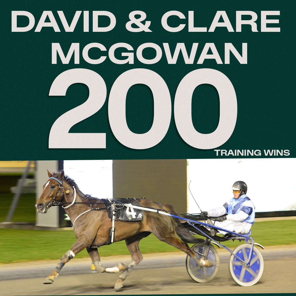Congratulations to DAVID AND CLARE MCGOWAN who secured their 200th training success tonight at Alexandra Park!

Castana in the hands of Taitlyn Hanara dug deep to get the job done for the training partnership. 

Well done to you both - 200 wins is a remarkable achievement! 🤩