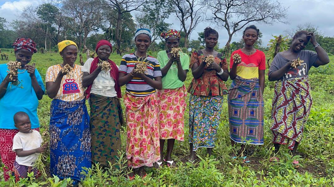 - OUR AGRICULTURE PROJECT- 

Cross section of  women at Kamabain village who participated in the random sampling harvesting, beaming with joy  as they gladly display their harvest. 

Help us with finance to help these local women farmers.
#Agriculture # #food