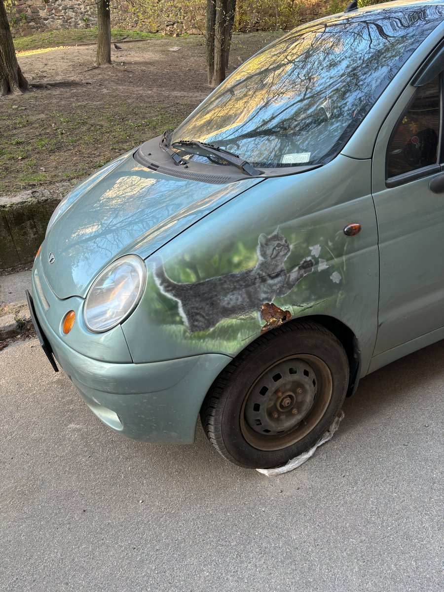 8 серпня — Всесвітній день кішок. 

На відміну від кота, машина/людина не має 9 життів. Тому краще таки страхуватися!