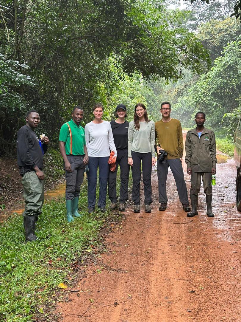 “Chimp Trekking Update – Rain or Shine! Today's chimp trekking was met with heavy rains, turning the trails into quite the challenge. Despite the conditions, I remained focused on delivering the best experience possible, ensuring client satisfaction stayed front &amp; center” Amuson