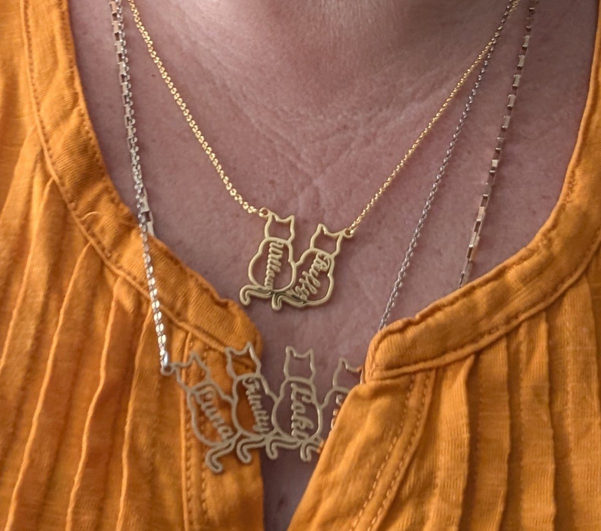 NeoLoki82's tweet image. Mum has two necklaces with our names inside each cat. In time for International Cat Day @SPBauthor @NeilInHe 🐾🐾🐾🐾🐾🐾