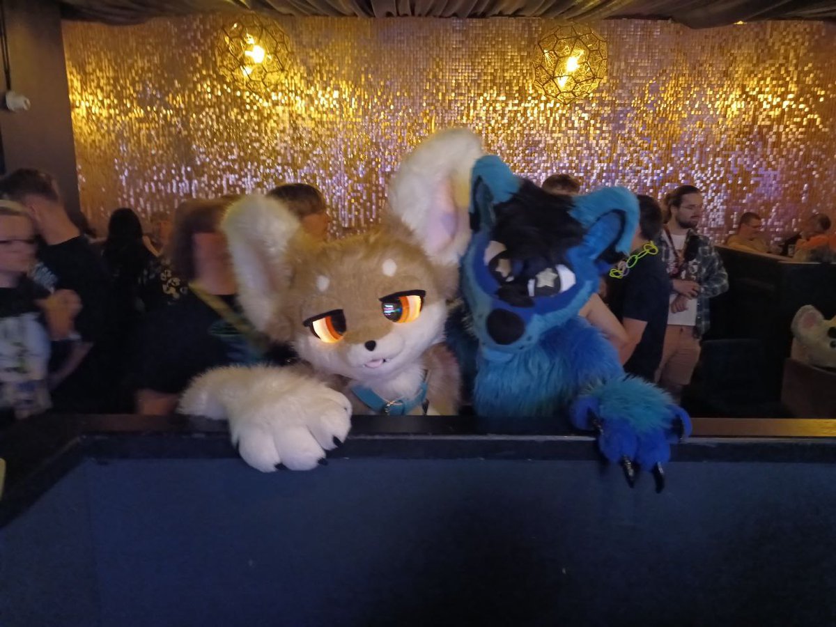 Friday night clubbin' wid <a href="/Kitzen_Waffles/">Waffles</a>

📸: <a href="/hroarDog/">hroar</a>
