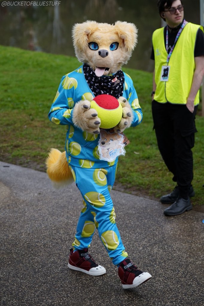 Fluff 🎾 tweet media