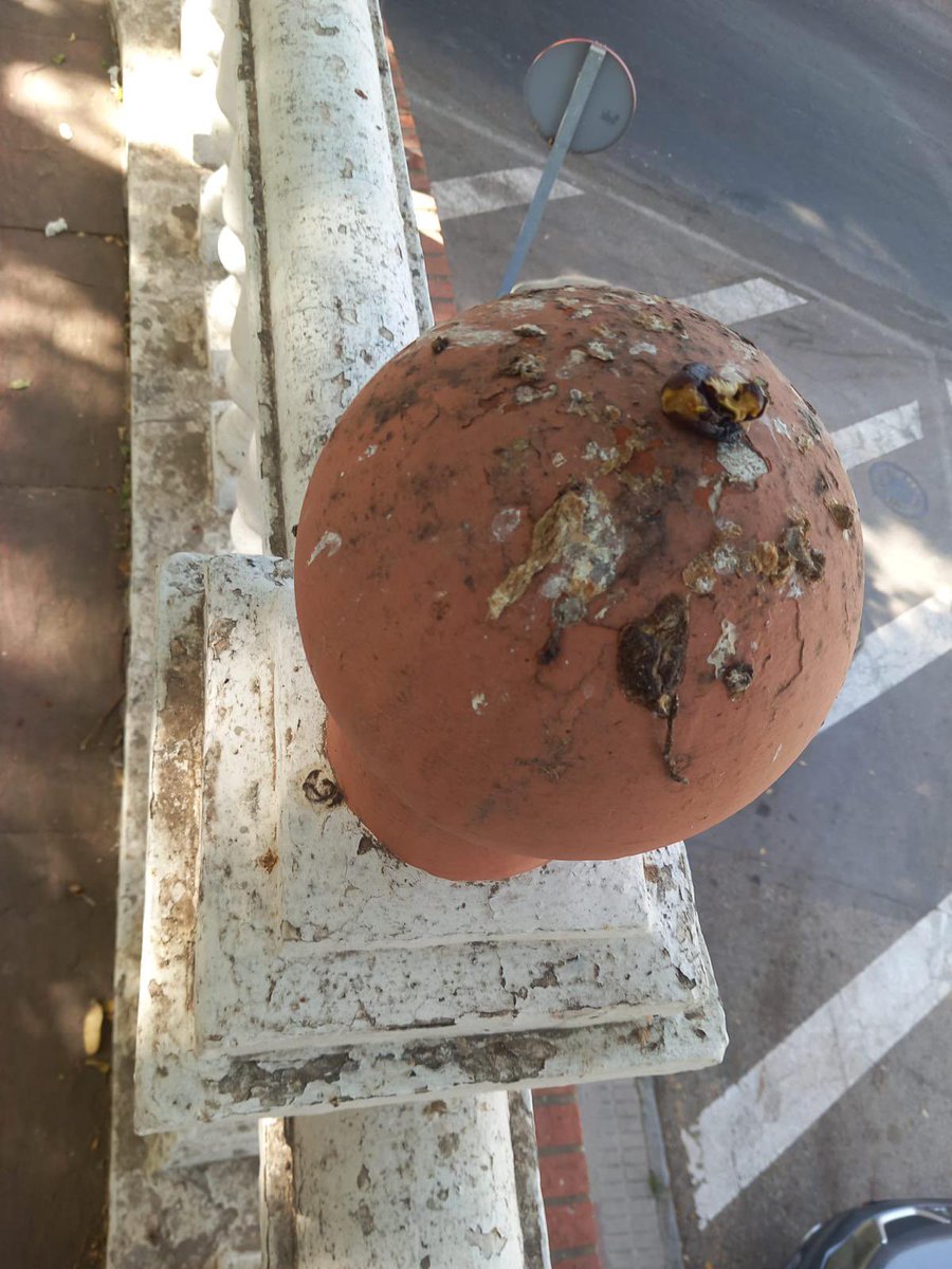 El PSOE de Estepona exige explicaciones urgentes ante la grave situación de la Residencia del Carmen

Más info: psoeestepona.es/noticia/79