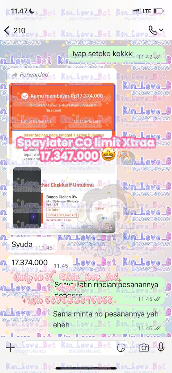 kin ✨ tweet media