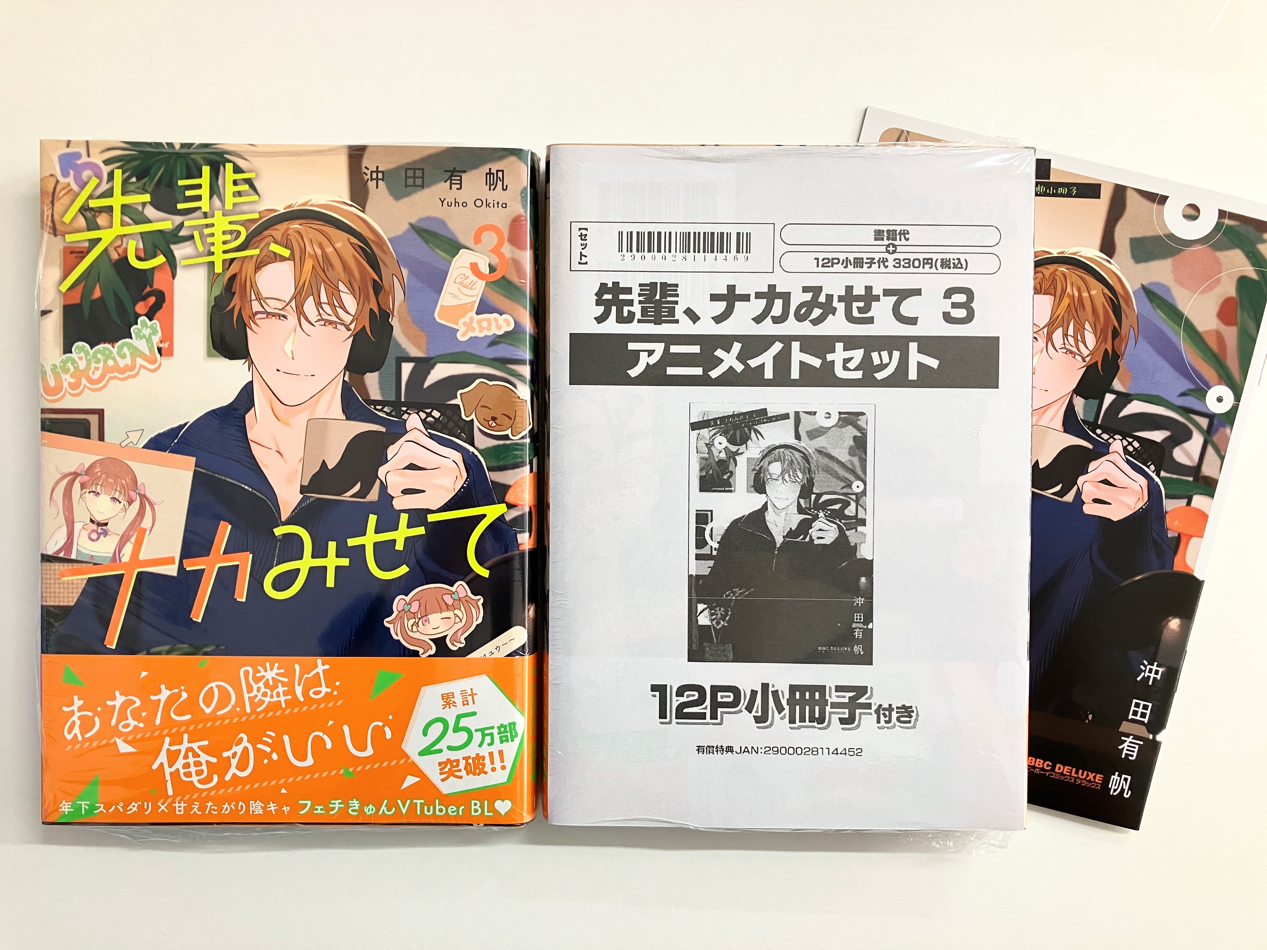 byakko アニメイト　小冊子 双子と先生】アニメイト コミコミ 小冊子 リーフレット 同人誌
