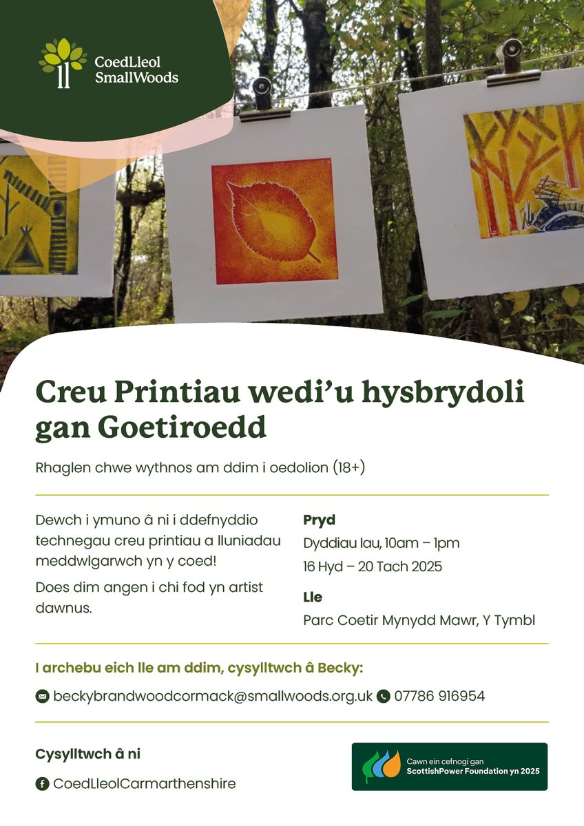 Creu Printiau wedi’u hysbrydoli gan Goetiroedd
Dyddiau Iau 
cavs.org.uk/2025/08/creu-p…